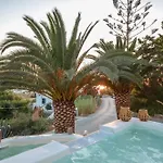 Flora's With Plunge Pool Agkidia