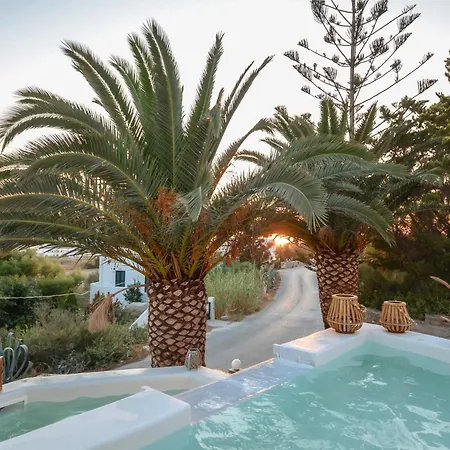 Flora's With Plunge Pool Angídia