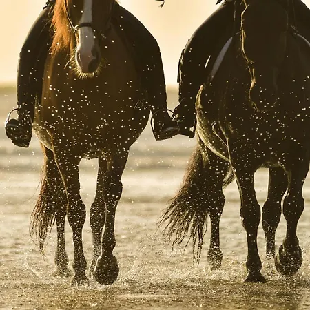Flora's With Plunge Pool * Angídia